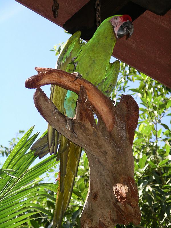 vallarta 105.jpg
